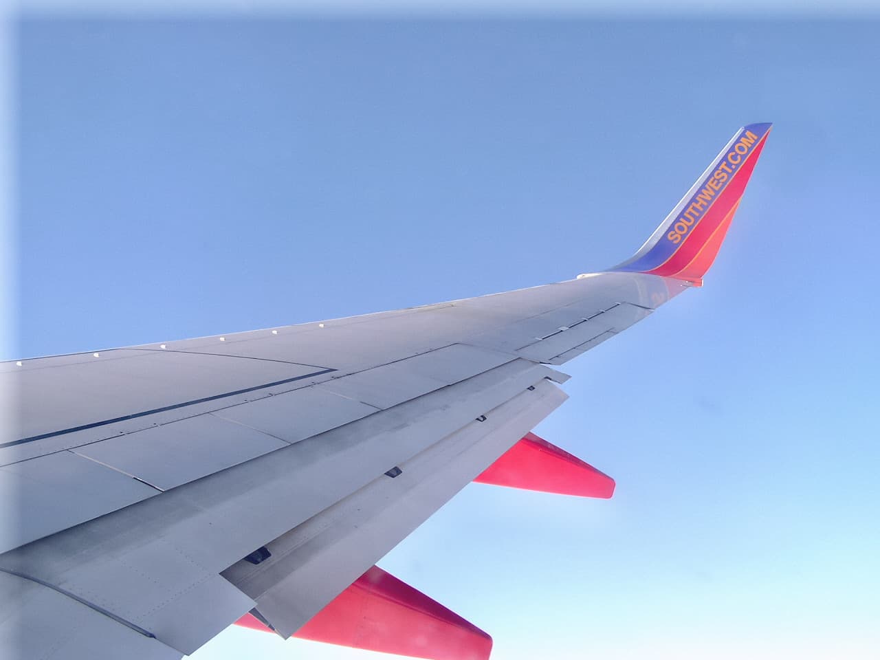 Aircraft wing viewed from above